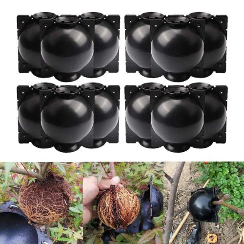 Plant Rooting Ball (10 pcs/set)