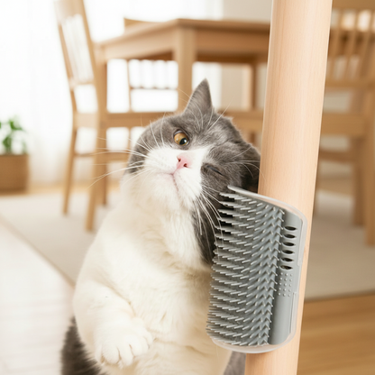Cat using a self-grooming brush in a home setting