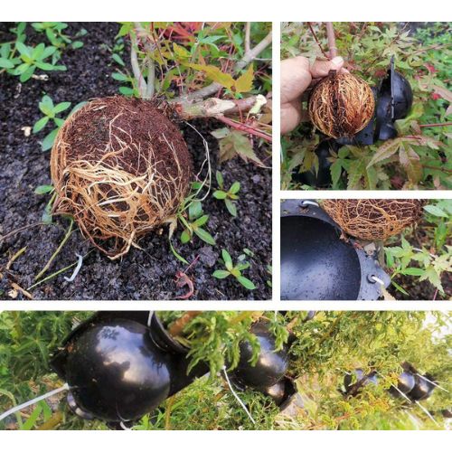 Plant Rooting Ball (10 pcs/set)