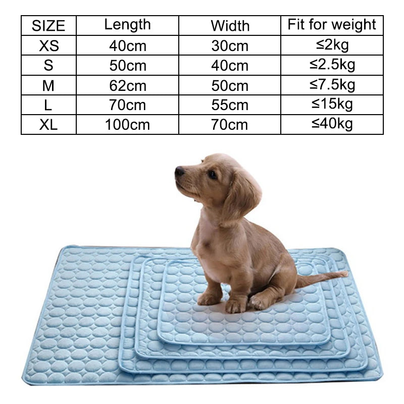 Dog sitting on a blue mat with size chart above