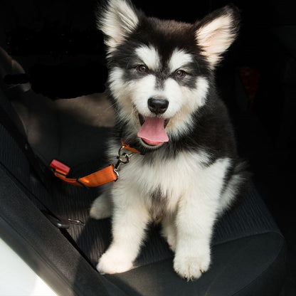 Pro-Safe Adjustable Pet Car Seat Belt