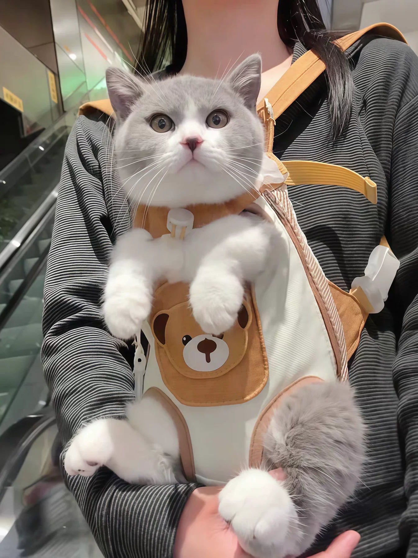 Cozy Bear Pet Travel Backpack | Hands-Free Breathable Carrier